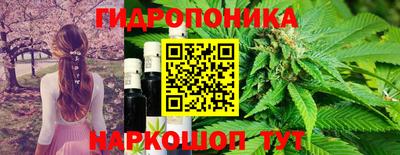 прущие грибы Старая Купавна