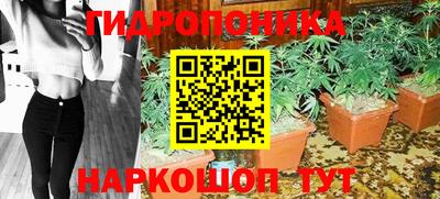 индика Среднеуральск