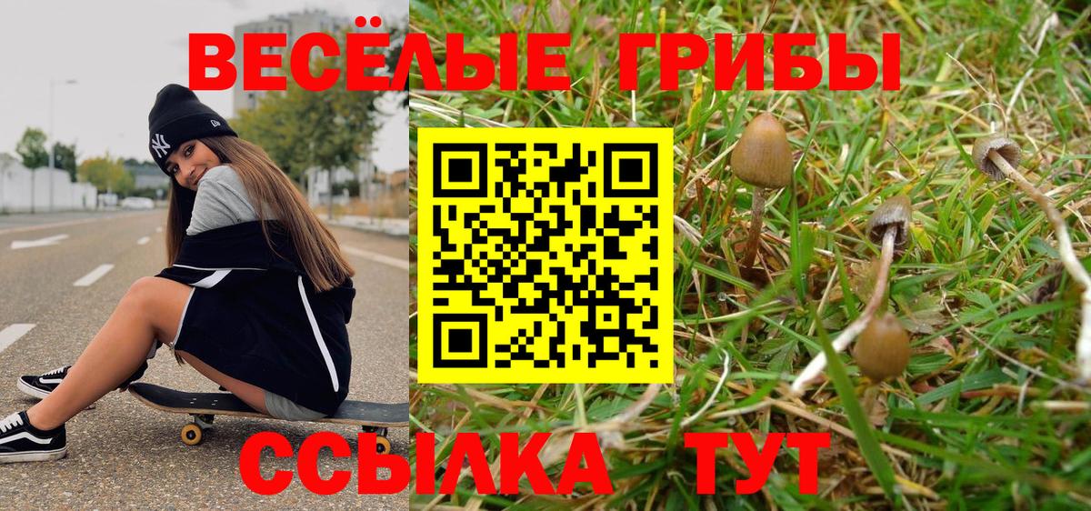 Псилоцибиновые грибы MAGIC MUSHROOMS  Вход с VPN  Пугачёв 